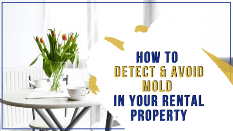 Detect & Avoid Mold In Your Everett Rental Property | Here's How